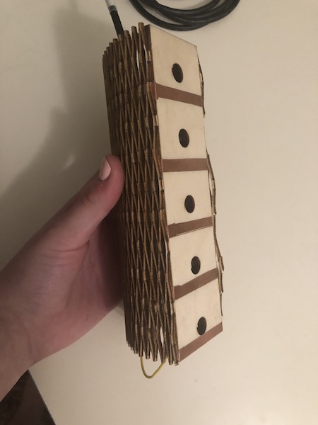 Final Project